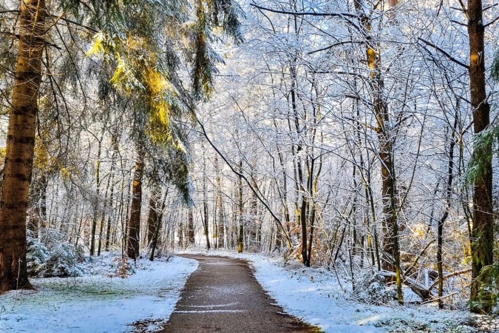 Nationaal Park Dwingelderveld