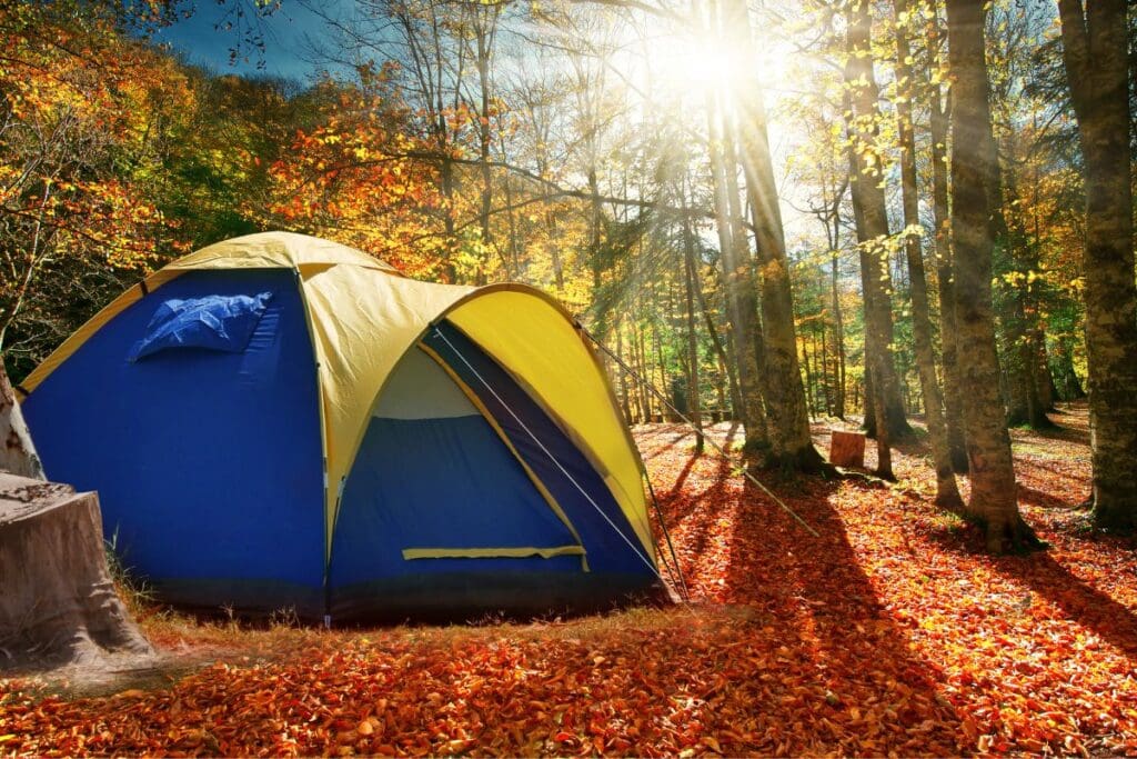 Herfstvakantie