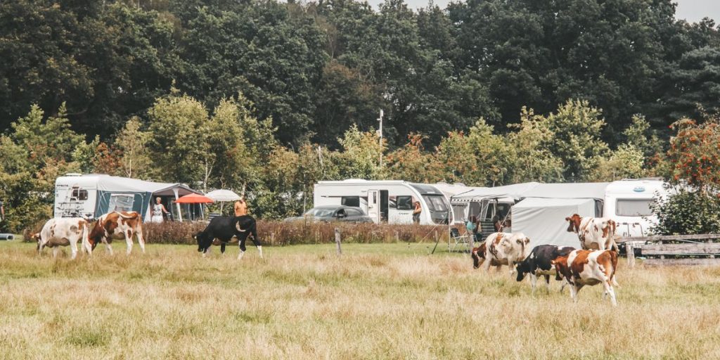 Camping Dal van de Mosbeek